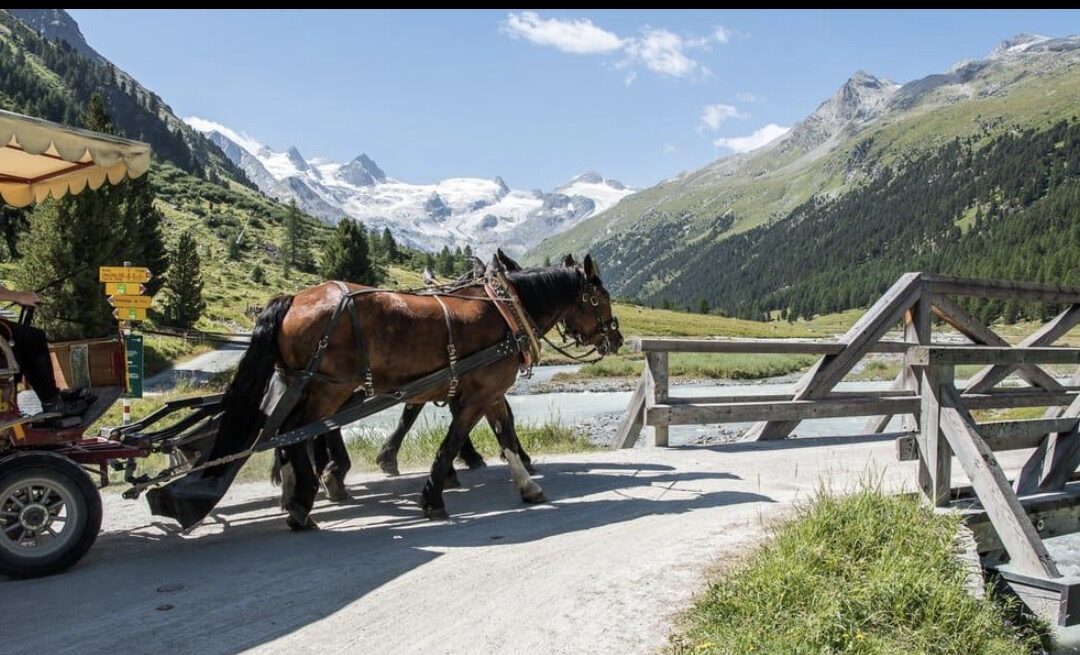 Após acidente mortal em Pontresina, Suíça quer exigir formação obrigatória a condutores de carruagens